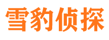 柞水侦探公司